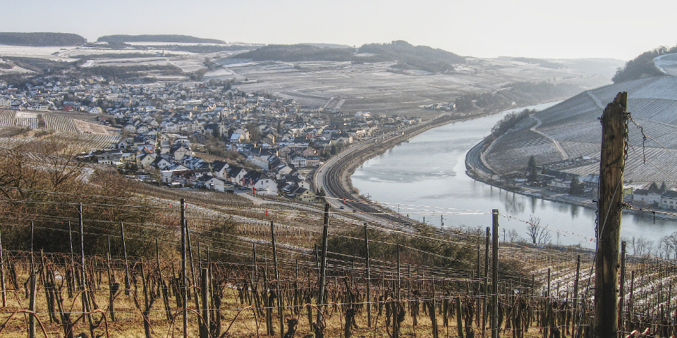 Bilder des Weinjahres