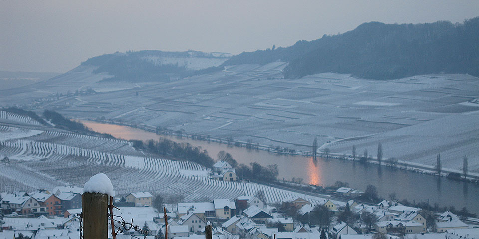 Bilder des Weinjahres