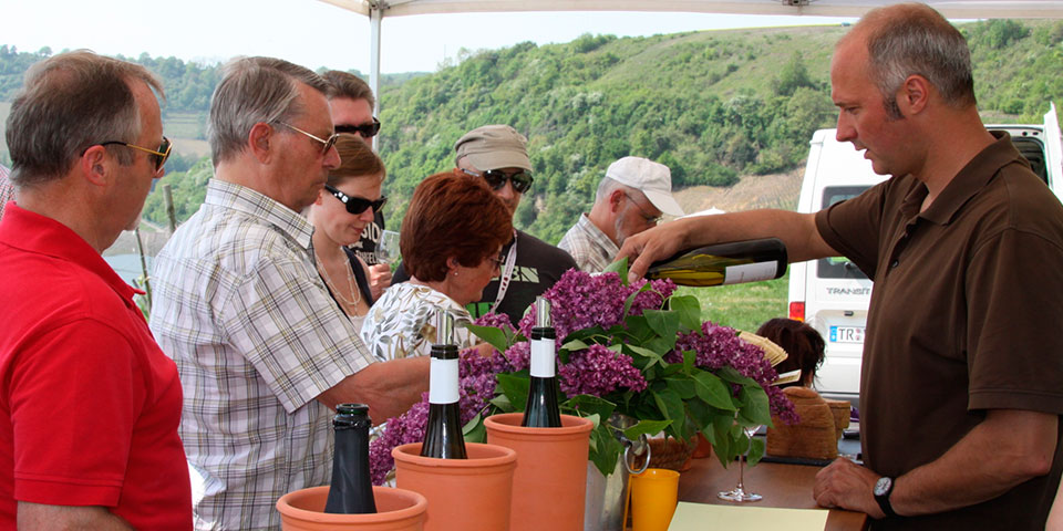 Erlebnistage im Weinberg